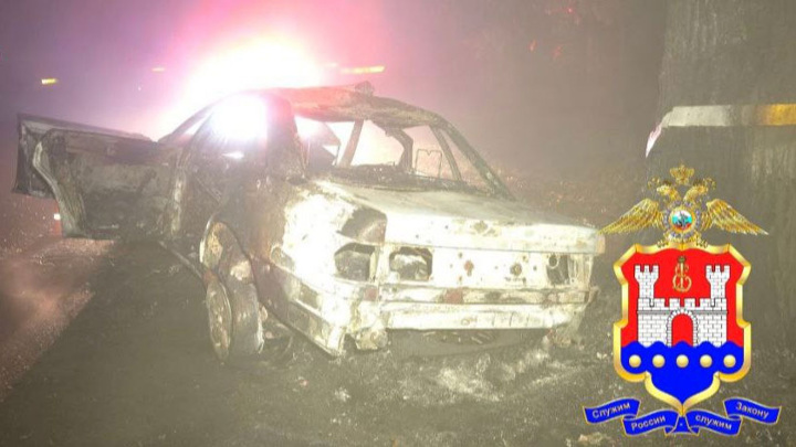 Два человека погибли под Калининградом, врезавшись на иномарке в дерево