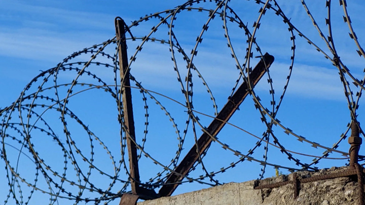 Мирошник заявил о подготовке новых докладов о секретных тюрьмах на Украине