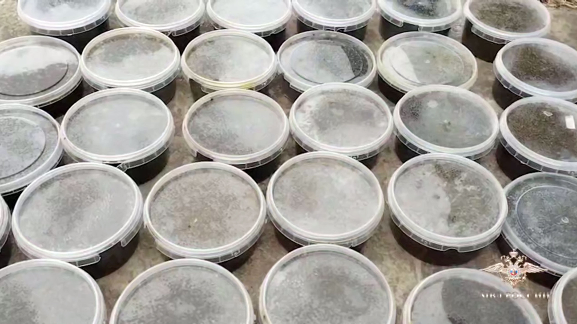 Более 90 кг черной икры изъяли в Хабаровском крае