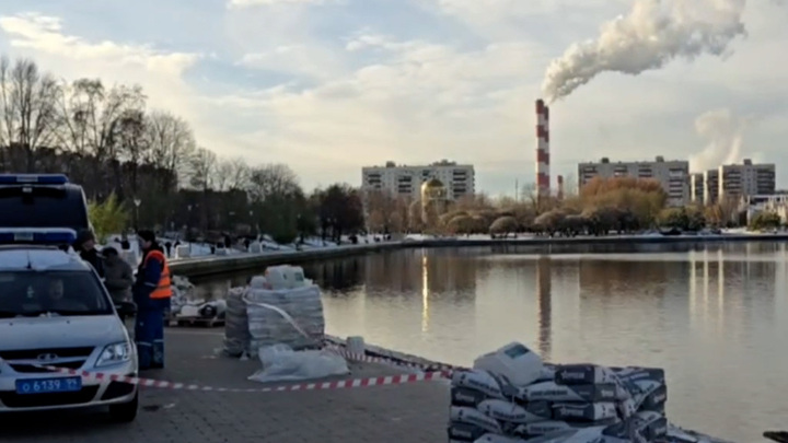 Появилось видео с места обнаружения фрагмента тела ребенка на востоке Москвы