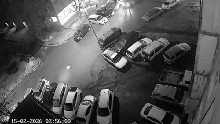 Во Владивостоке иностранец переехал двоих приятелей на машине, возбуждено дело