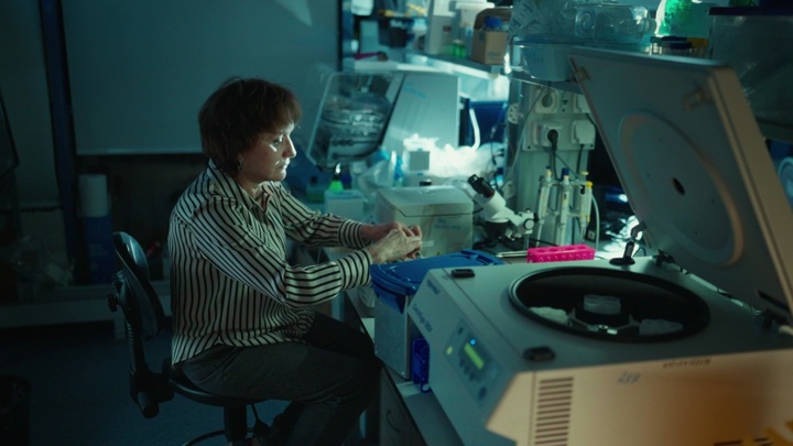 Ученые МФТИ получили антимикробное средство из жира личинки мухи