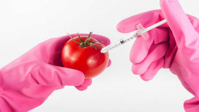 Доктор Мясников: без ГМО планета бы стала вымирать с голоду