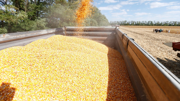 Свыше 6 млн тонн продукции вывезено с Украины по зерновой сделке