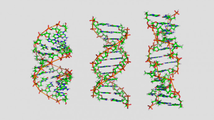 Искусственный интеллект помог в изучении Z-ДНК