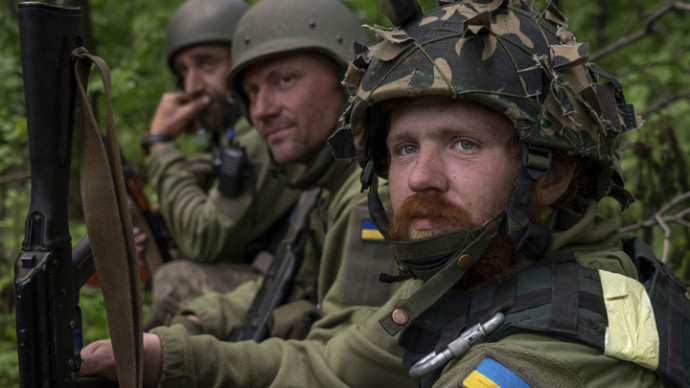 Нардеп Украины предложила провести мобилизацию на деньги громадян