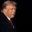Трамп: США хорошо справляются с хантавирусом