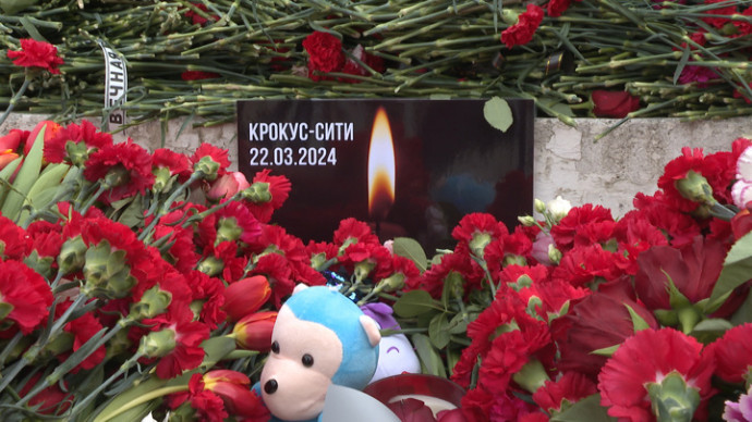 Главы МИД стран G7 заявили о непричастности Киева к теракту в "Крокусе"